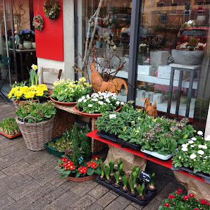 Blumen am Spitäle