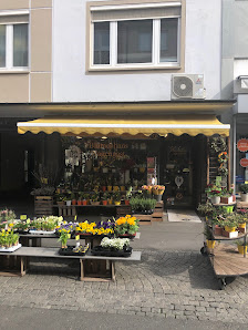 Blumenhaus Nagengast Inh. Karin Neyderek