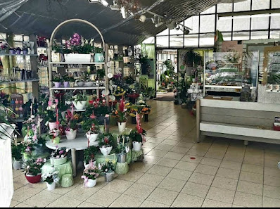 Blumen Groth