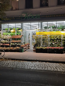 Kögel Pflanzenmarkt e.K.