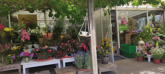 Gewächshaus-Hamburg (Blumensträuße, Pflanzen, Café, Hofladen, Obst und Gemüse)