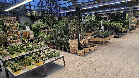 Dehner Garten-Center