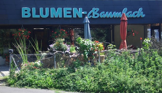 Blumen Baumbach