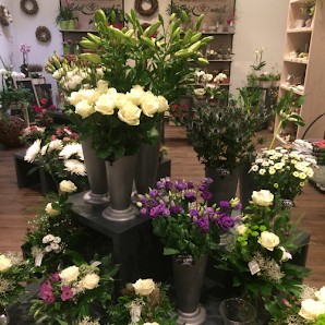 Blumen Edelweiß Schweinfurt 2
