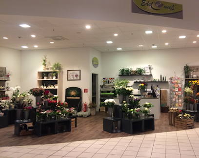 Blumen Edelweiß Schweinfurt 2