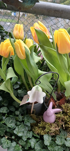 BLUME2000 Schweinfurt