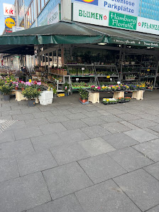 Hamburg Floristik