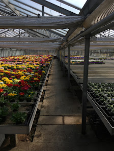 Rupprecht Blumen Gärtnerei