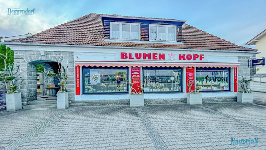 Kopf Orchideen und Floristik