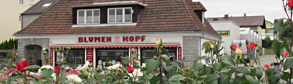Kopf Orchideen und Floristik