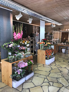 Kopf Orchideen und Floristik