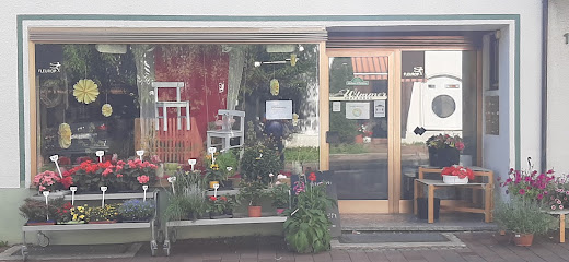 Blumen Wimmer