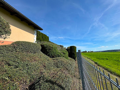 Gartenzwillinge