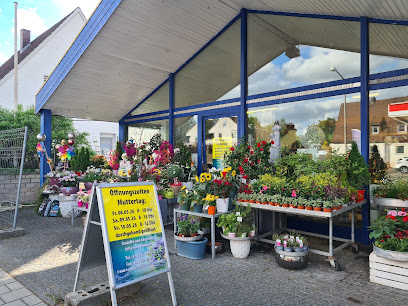 Blumen Zuckschwert