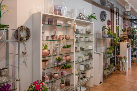 Schick Blumen & Floristik