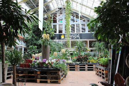 Donaumarkt Gartencenter Gartenplanung GmbH