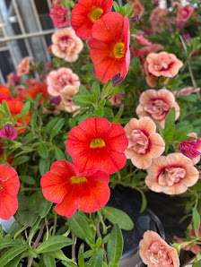 Holzner Blumen-Paradies