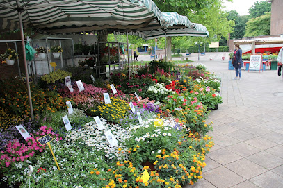Vierländer Gartenbaubetrieb Michael Bornhöft
