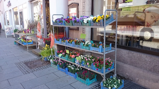 Blumen Kurlebaur Memmingen