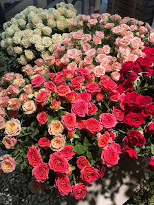SARO Blumen und Deko