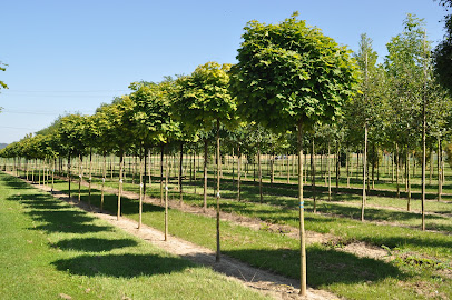 Kutter Pflanzen GmbH