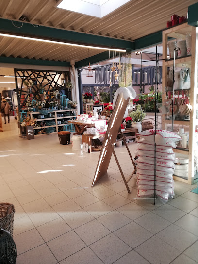 Büchele Garten & Wohnkultur GmbH