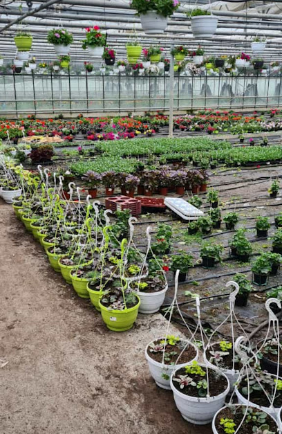 Sönke Behncken Gartenbau