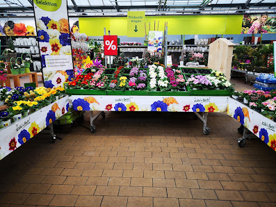 Pflanzen-Kölle Gartencenter GmbH & Co. KG Unterhaching