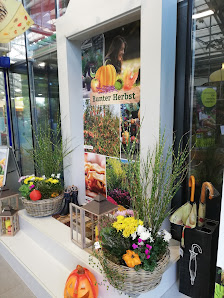 Pflanzen-Kölle Gartencenter GmbH & Co. KG Unterhaching