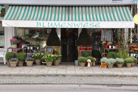Blumenwiese