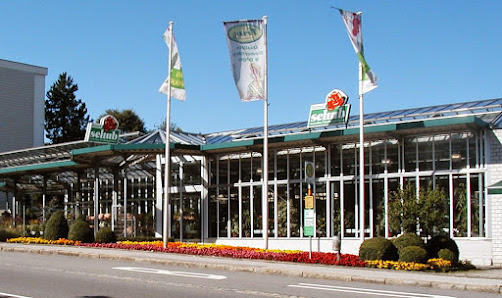 Blumen Schub