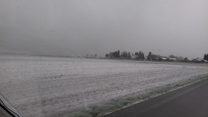 Gartenbauer