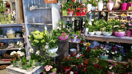 Blumenladen Puchheim - Blütenpracht Blumenshop im AEZ