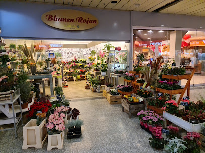 Blumen Rojan