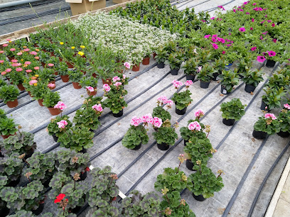 Gartenbauer