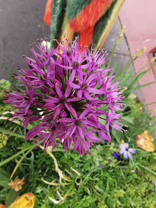 Blumen Neumair