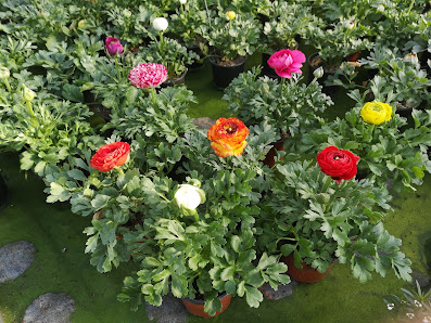 Blumen Böswirth | Gärtnerei Pfaffenhofen