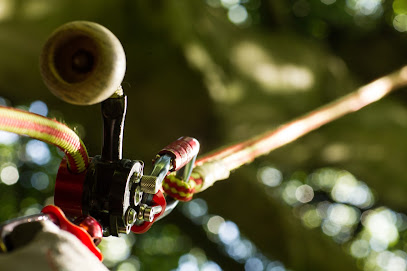 Fröhlich Gartenbau