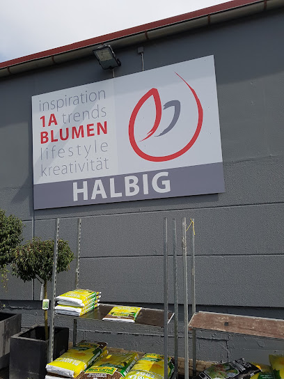 1a Blumen Lauf
