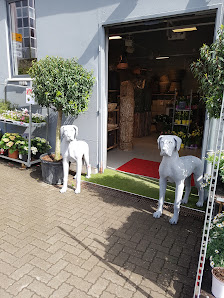 1a Blumen Lauf