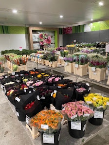 Bloomways GmbH