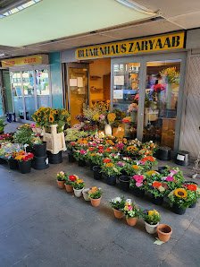 Blumen Zaryaab Schlump