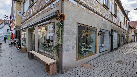 Blumen Sternfrieder Forchheim