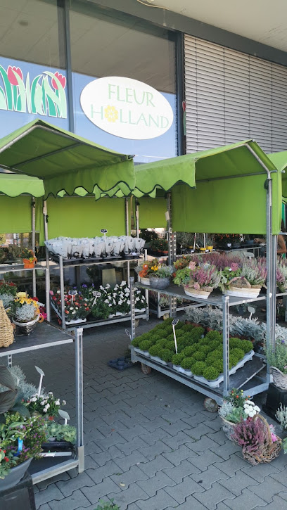 Fleur Holland Blumen