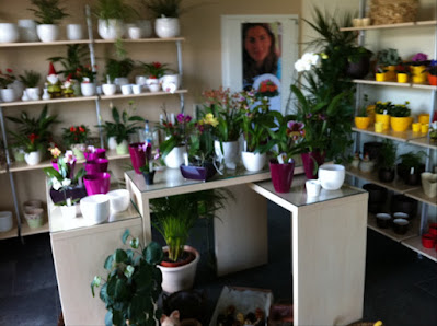 Blumen Merklein