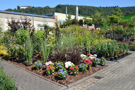 Zöller Garten- und Landschaftsbau