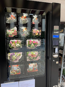 Blumen und Pflanzen Blumenautomat