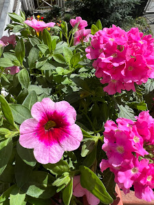 Blatt und Blüte