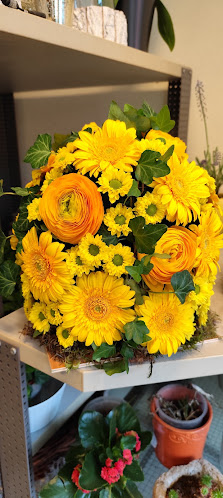 Blumenstübchen Manfred Zuther