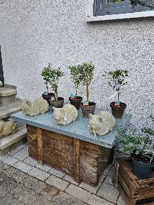Blumenwerkstatt Ipsheim - by Mirco Franz der Gärtner